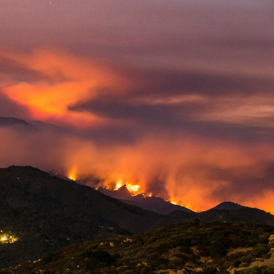 Beyond the Sunshine: The Devastating Reality of Wildfires in Southern California