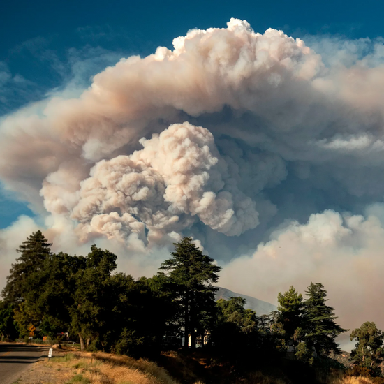 Wildfire Weather: The Science of Pyrocumulus Clouds