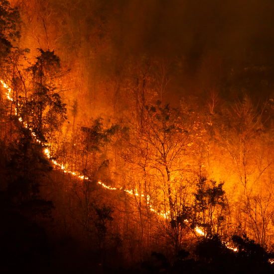 Red Flag Warnings: What They Mean and Why They Matter