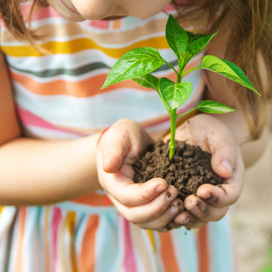 Seeds of Change: SteamRocket's Initiative Brings Free Trees to Valley Youth